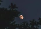 Gerhana Bulan Total 7 September 2025 Dapat Dilihat Jam 23.37 Wib